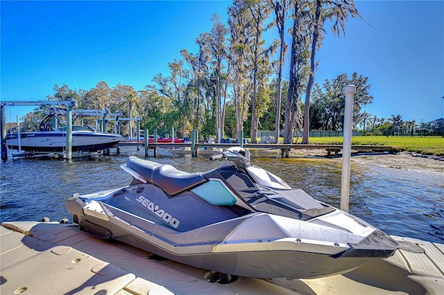 dock area with a water view