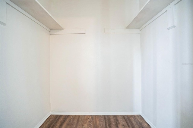 spacious closet featuring dark hardwood / wood-style flooring