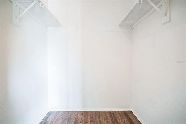 walk in closet with dark wood-type flooring