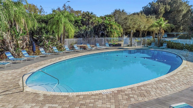 view of pool featuring a patio