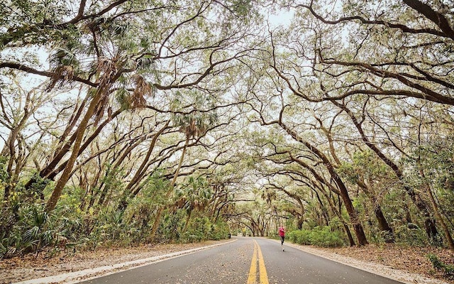 view of road featuring a view of trees