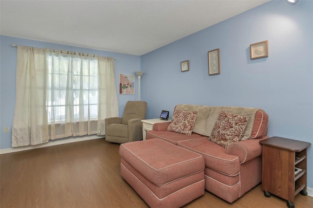 living area with wood finished floors