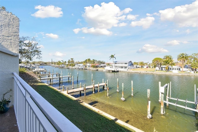 dock area with a water view