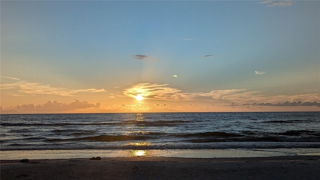 water view featuring a beach view