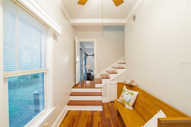 stairway with visible vents, ceiling fan, crown molding, and wood finished floors