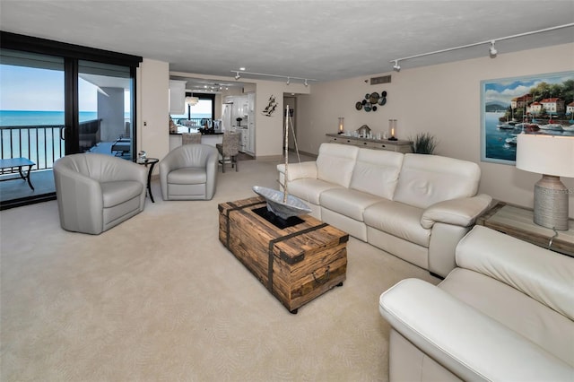 carpeted living room featuring rail lighting and a water view