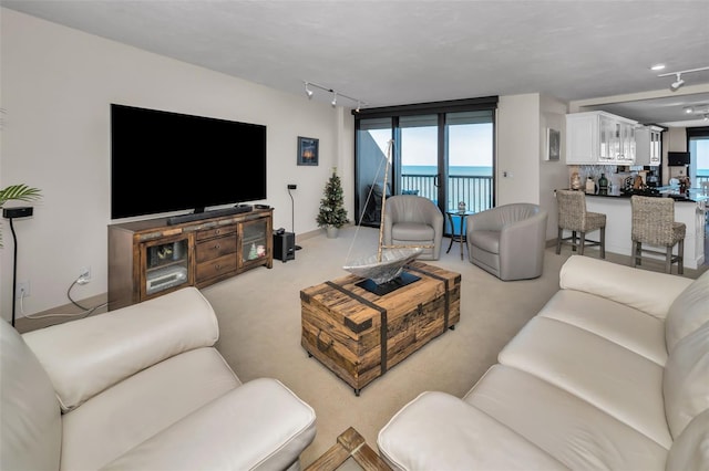 living room featuring light carpet and track lighting