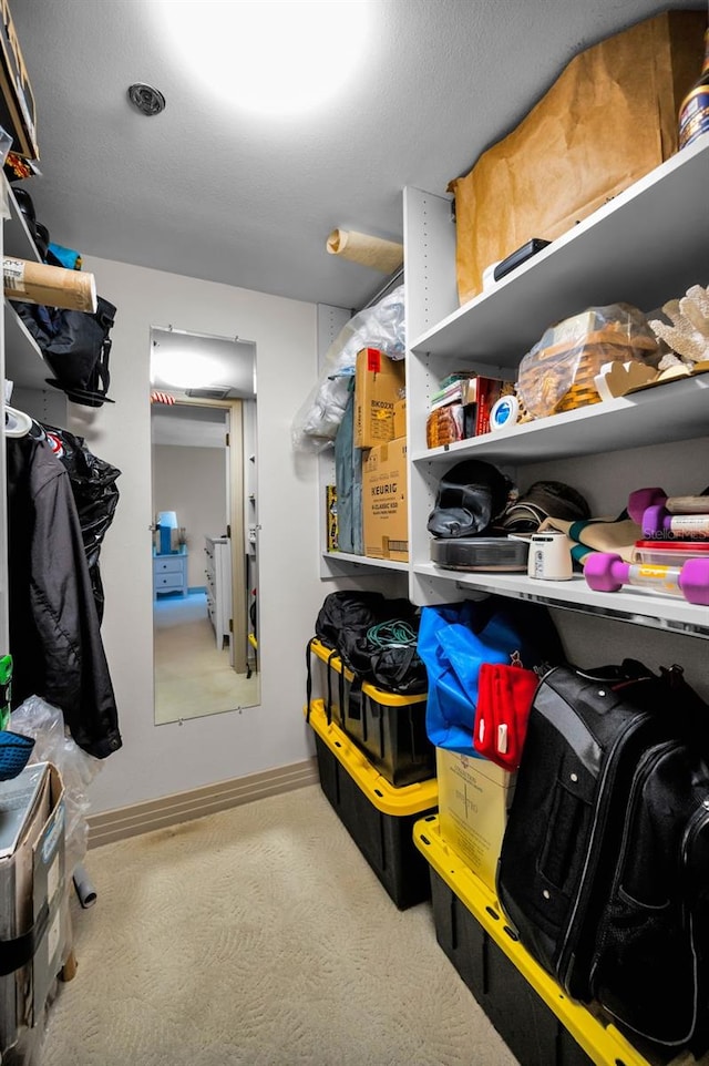 spacious closet featuring carpet