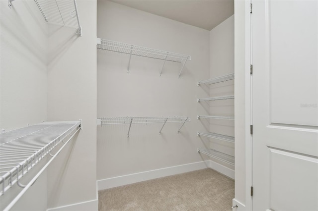 walk in closet with light carpet