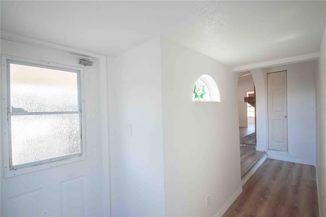 hall featuring dark hardwood / wood-style flooring and a wealth of natural light