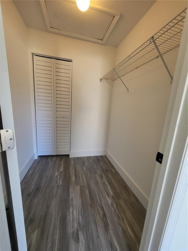 walk in closet with dark wood-type flooring