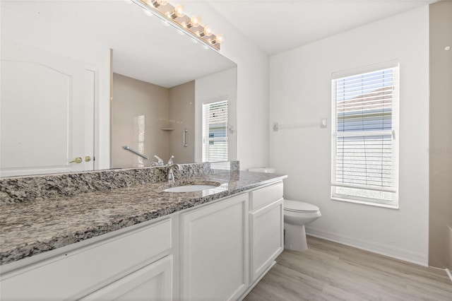 bathroom featuring hardwood / wood-style flooring, vanity, and toilet