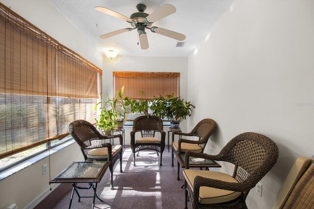 living area with ceiling fan