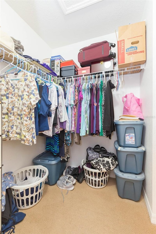 spacious closet featuring carpet floors