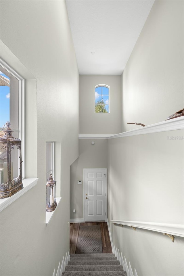 staircase with wood-type flooring and a high ceiling