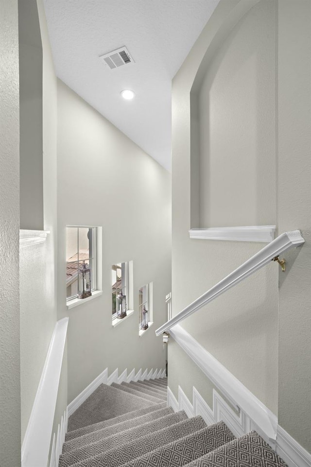 staircase featuring carpet floors