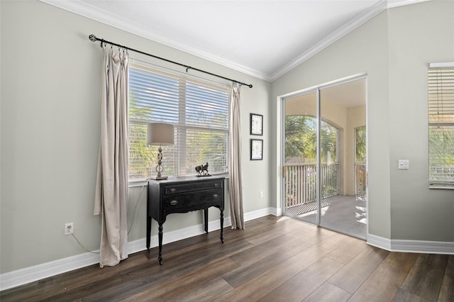 interior space featuring crown molding, dark hardwood / wood-style floors, and a healthy amount of sunlight