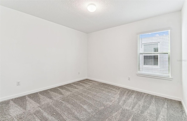 10328 Cross River Trl, Parrish, FL 34219 - spare room featuring carpet floors, baseboards, and a textured ceiling