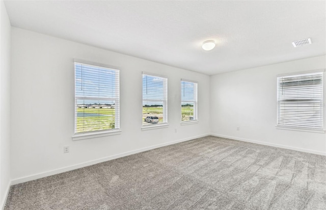 10328 Cross River Trl, Parrish, FL 34219 - carpeted empty room featuring visible vents and baseboards