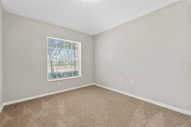 spare room with carpet floors