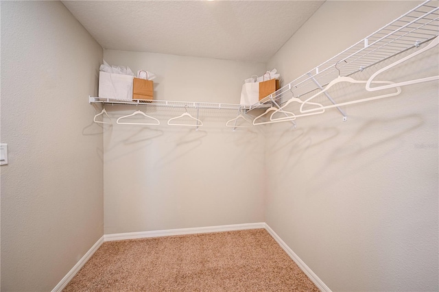 spacious closet with carpet