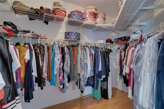 spacious closet with hardwood / wood-style floors