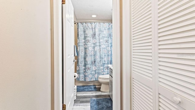 bathroom featuring wood-type flooring, vanity, a textured ceiling, and toilet