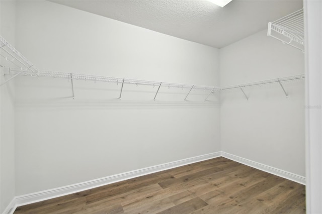 walk in closet with dark hardwood / wood-style floors