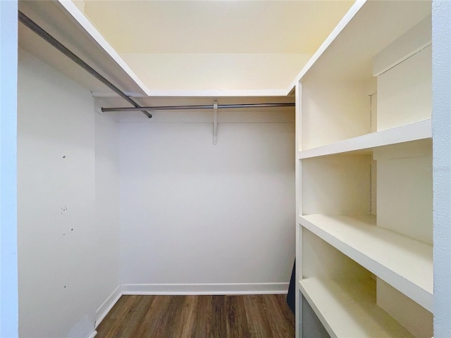 walk in closet featuring dark wood-type flooring