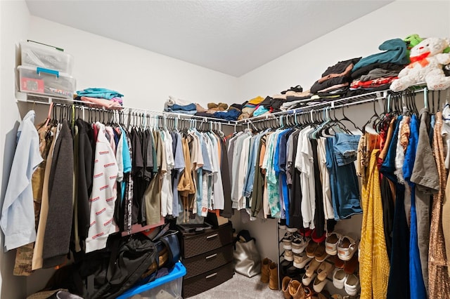 walk in closet with carpet floors