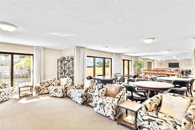 carpeted living room featuring a healthy amount of sunlight and a textured ceiling