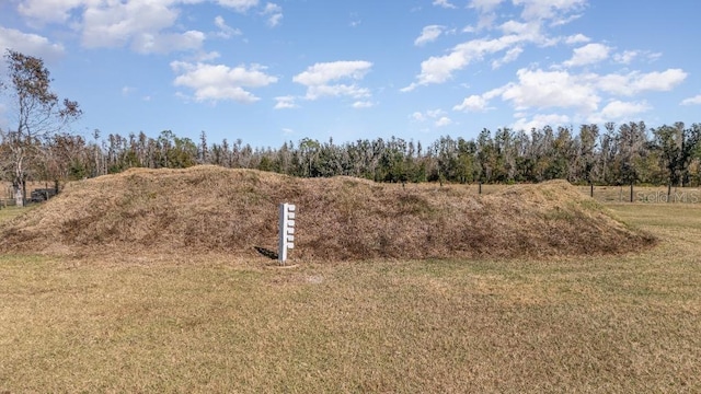 view of yard with a rural view