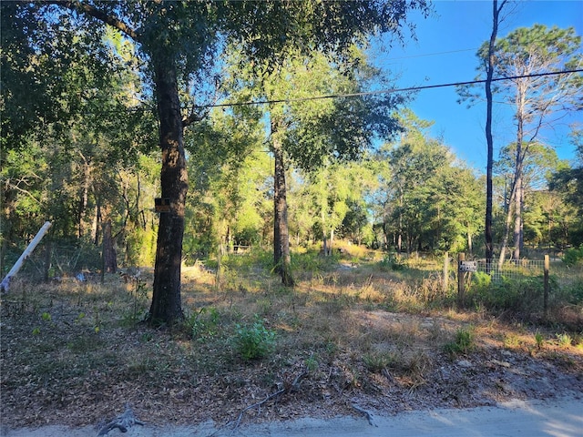 10001 N Holyoak Ter, Dunnellon FL, 34433 land for sale