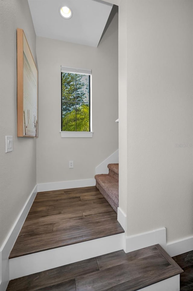 stairway with hardwood / wood-style flooring