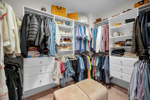 spacious closet featuring carpet