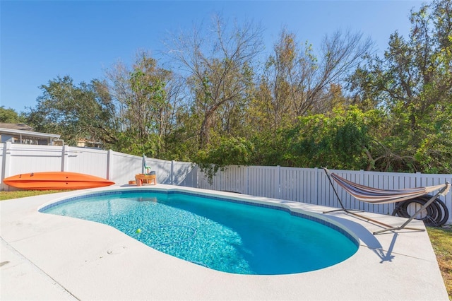 view of swimming pool featuring a patio area