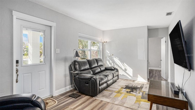 living room featuring hardwood / wood-style flooring