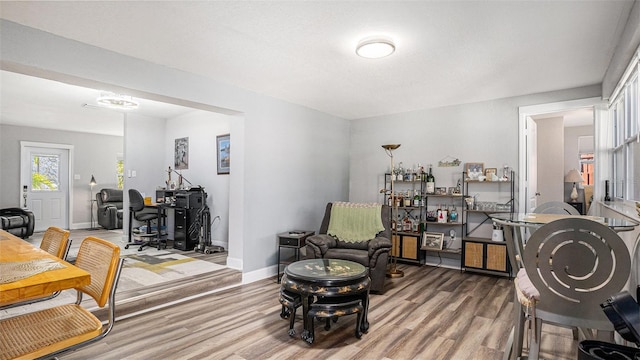 living area featuring wood-type flooring