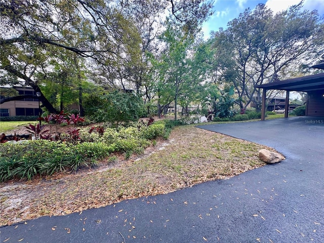 view of street featuring driveway