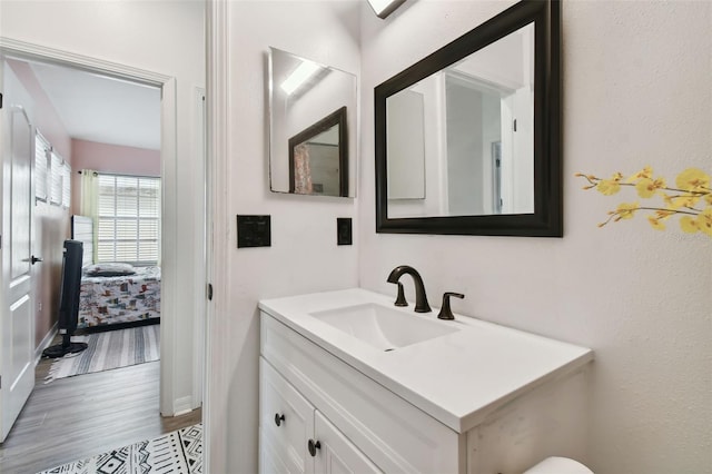 bathroom with wood-type flooring and vanity