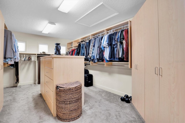 spacious closet with light carpet