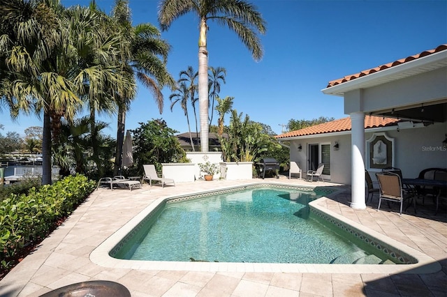 view of pool featuring grilling area and a patio area