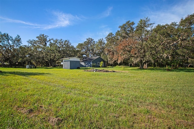 3106 E Trapnell Rd, Plant City, FL 33566 - photo 48