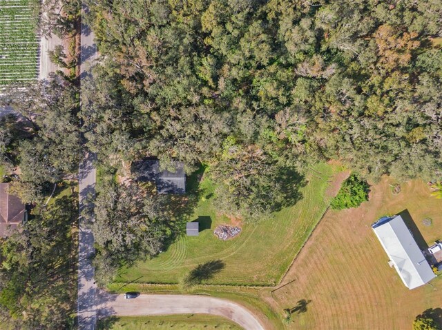 3106 E Trapnell Rd, Plant City, FL 33566 - photo 52