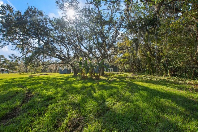3106 E Trapnell Rd, Plant City, FL 33566 - photo 50