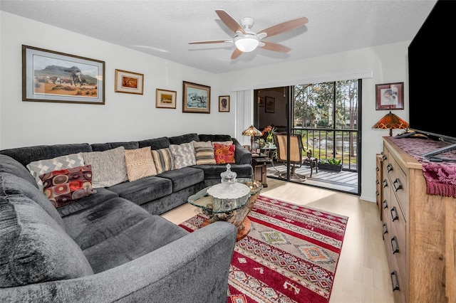 living area featuring a ceiling fan, a textured ceiling, and wood finished floors