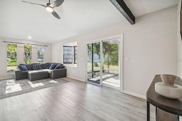 living room with vaulted ceiling with beams, ceiling fan, plenty of natural light, and light hardwood / wood-style flooring