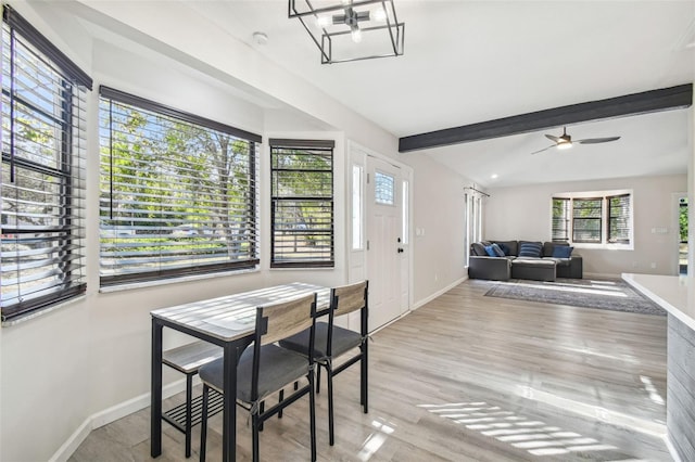 dining room with beam ceiling, light hardwood / wood-style floors, and ceiling fan