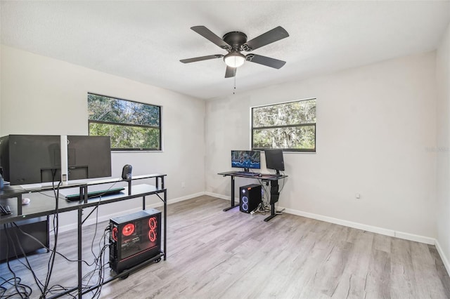 office space featuring ceiling fan, light hardwood / wood-style flooring, a healthy amount of sunlight, and a textured ceiling