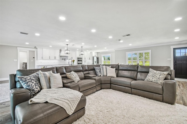 living room with hardwood / wood-style floors, ornamental molding, and sink